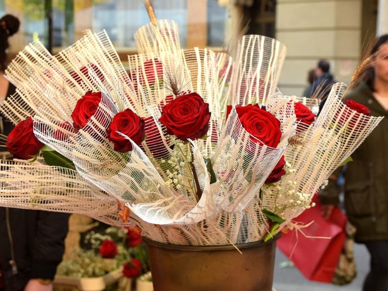 Rosas para Sant Jordi
