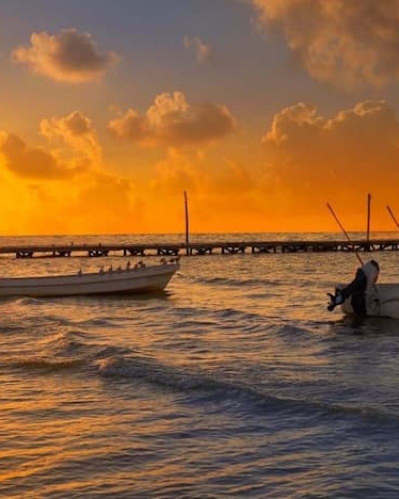 shutterstock_751908508