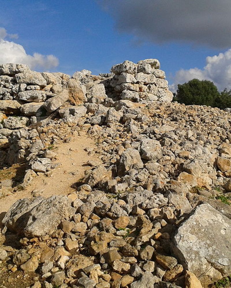 Tayalots en Mallorca